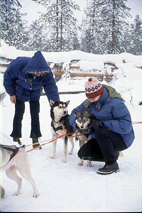 Husky
