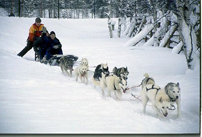 Husky