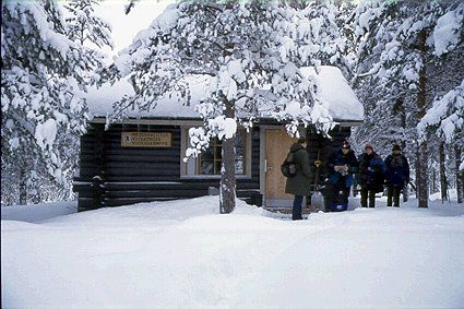 Vitekangas